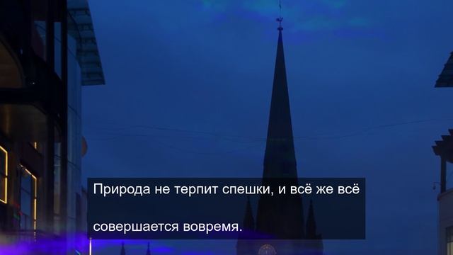 Счастливый желудок 2