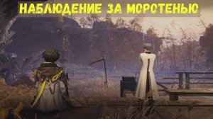 Наблюдение за моротенью. Скрытая область зоны отчуждения северного Улина. Arknights Endfield