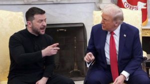«Трамп ненавидит, когда ему наглядно и прилюдно доказывают, что он не прав».

К последней поездке Зе