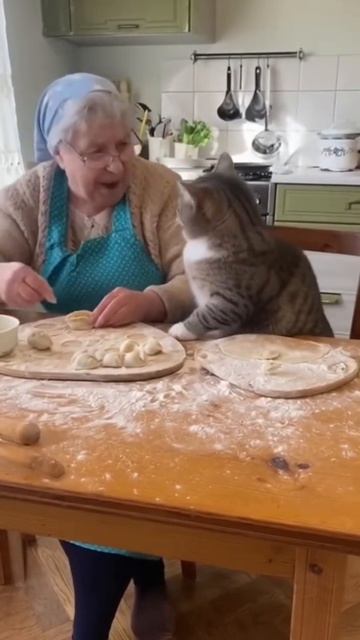 Бабка и кот лепят пельмени