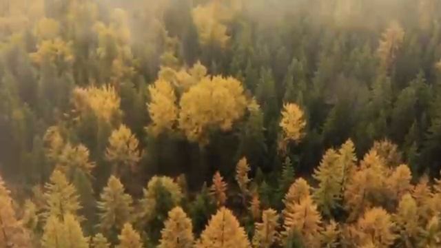Патриотические песни