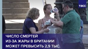 Число смертей из-за жары в Британии может превысить 2,9 тыс.