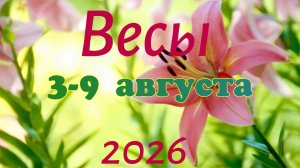 Весы♎Таро- прогноз на неделю с 3 по 9 августа 🕊