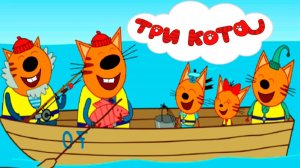 Три Кота 🐱🐱😽