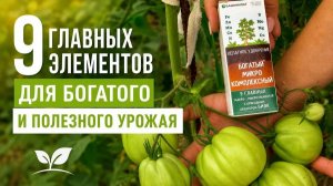 Корявые и не вкусные томаты, огурцы. Что им не хватает?