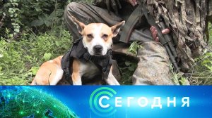 «Сегодня»: 30 июля 2026 года. 19:00 | Выпуск новостей | Новости НТВ