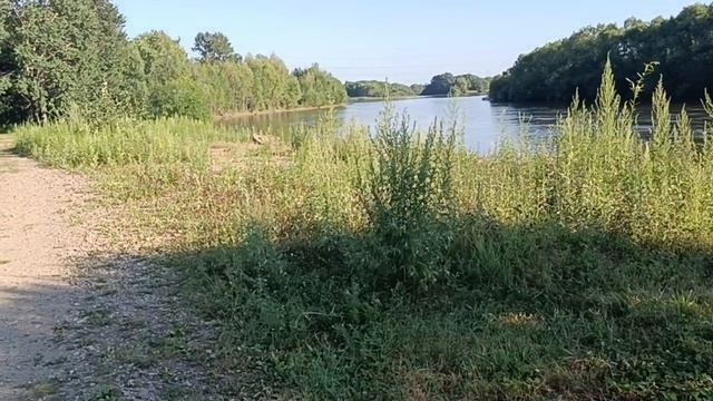 Я безработная!/Она напала на меня