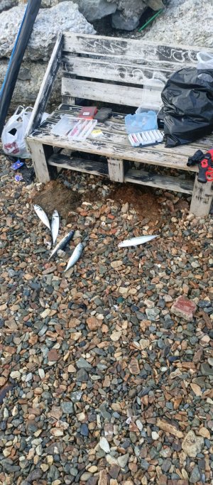 рыбалка во Владивостоке