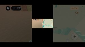 144.mp4