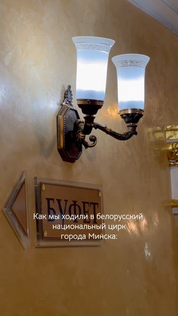 Представление в Цирке города Минска 🎪