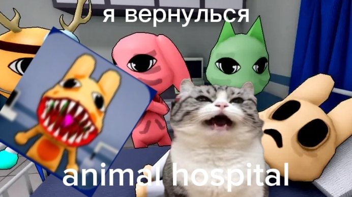 играю в шедевер Animal Hospital 🏥🏥🏥🏥 🚑🚑🚑🚑🚑🚑🚑🚑🚑🚑🚑🚑🚑🚑🚑ну типо много больниц и машин