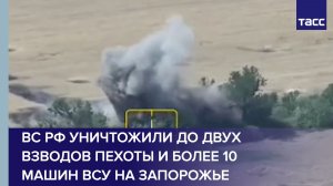 ВС РФ уничтожили до двух взводов пехоты и более 10 машин ВСУ на Запорожье