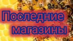 Последние магазины 🐝