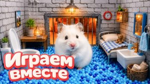 Хомяк выбирается из СЕКРЕТНОГО ЛАБИРИНТА 🐹 хомяк в лабиринте с препятствиями! Видео для детей №6