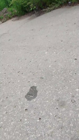а