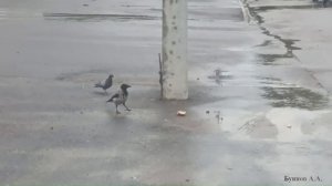 Город.
