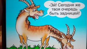 Городок,чё за качели???