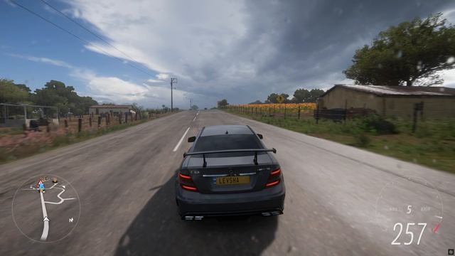 Forza Horizon 5 \  Mercedes Benz C 63 AMG #174