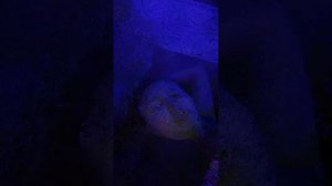 общение