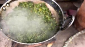 🔥«ИНДИЙСКОЕ УЛИЧНОЕ КАФЕ: БЕСПОЩАДНЫЙ ФАСТФУД ИЛИ КАРАТЕЛЬНАЯ КУЛИНАРИЯ?!»🤯 «Я ЭТО СЪЕМ»🌶️🍽️