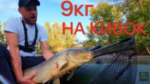Боковой КИВОК в диком КОРЯЖНИКЕ. Пришлось лезть в воду! Fishing 2026