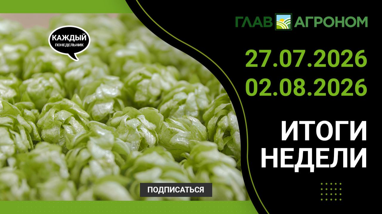 Итоги недели с ГлавАгроном 27.07.2026 – 02.08.2026