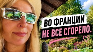 Прямой эфир из рая. Борьба за лавочку;-))