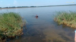Дрова купил расколол и сложил, сеьздили покупать,и в лес за Берёзовыми ветками.
