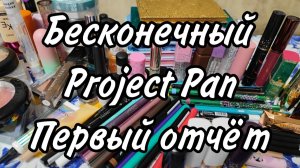 Первый отчет Project Pan