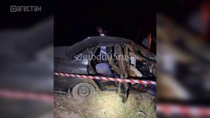 1 человек погиб и 1 пострадал в результате наезда на корову в Южно-Сухокумске