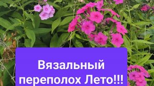 💥🧶💐🌸🌼СП «Вязальный Переполох Лето. Сезон2» 💐🌸🌼🧶💥 с Еленой Велиной!отчёт 4!!
