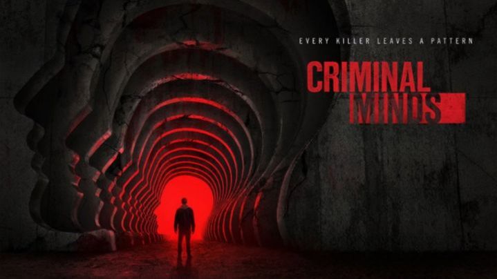 Мыслить как преступник - 19 сезон 9 серия / Criminal Minds