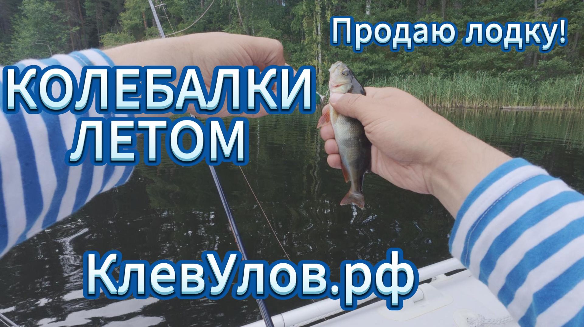 Глубоководное озеро летом. Колебалки. Тверская область.