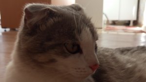 Серик отвечает на вопрос