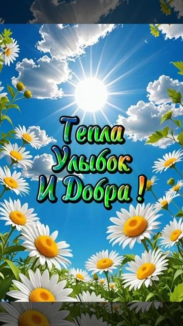 Хорошего дня и мирного неба 🕊️ над головой