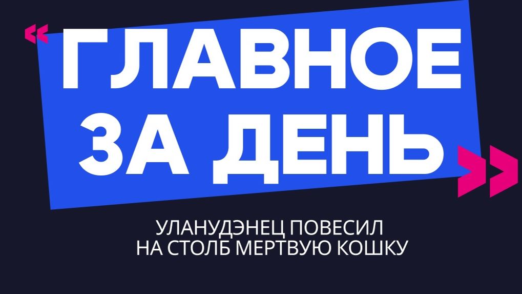 Главное за день: уланудэнец повесил на столб мертвую кошку