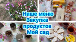 Наше меню , закупка продуктов. Мой сад )