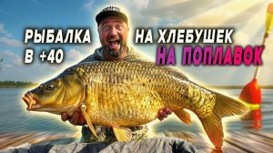КОГДА НЕТ ОПАРЫША, А РЫБА ВСЁ РАВНО КЛЮЁТ: РЫБАЛКА БЕЗ СЛОЖНОСТЕЙ!