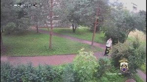 Новгородская полиция задержала студента, по указке аферистов забравшего 1 млн рублей у пенсионерки