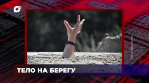 В порядке! / Тело на берегу / 30.07.26