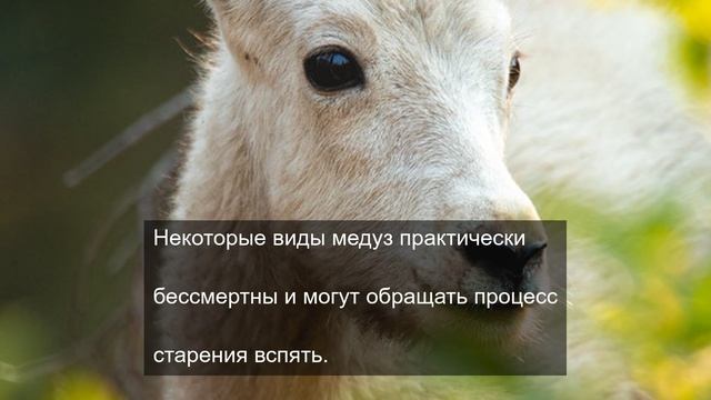 Тренировочная площадка