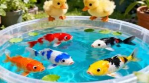 Забавная распаковка красочных декоративных рыбок рыба кои светящаяся рыба рыба бетта черепаха