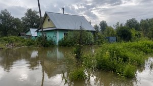 Река Оя вышла из берегов в Красноярском крае и затопила дома в селе Ярмаковское