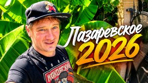 Большая прогулка в Лазаревском в 2026