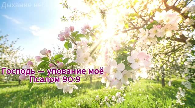 ИСЦЕЛЯЮЩАЯ МУЗЫКА 