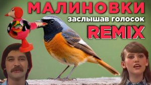 Малиновка (Малиновки Заслышав Голосок) ｜  Танцевальный Шансон