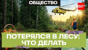 Как выйти из леса, если вы потерялись — пошаговая инструкция
