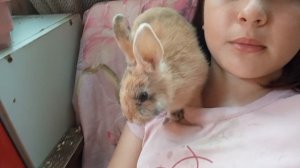 влог  с девочками 
утренний влог