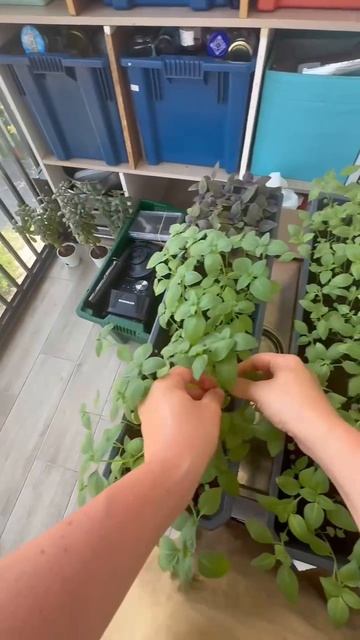 Реальная ситуация на съёмках