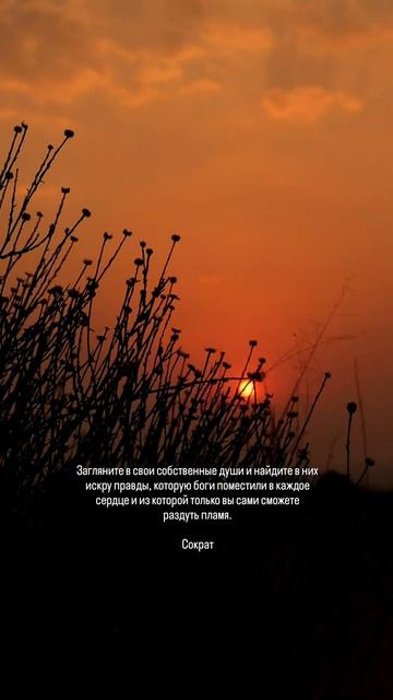 Сократ о душе и искре правды